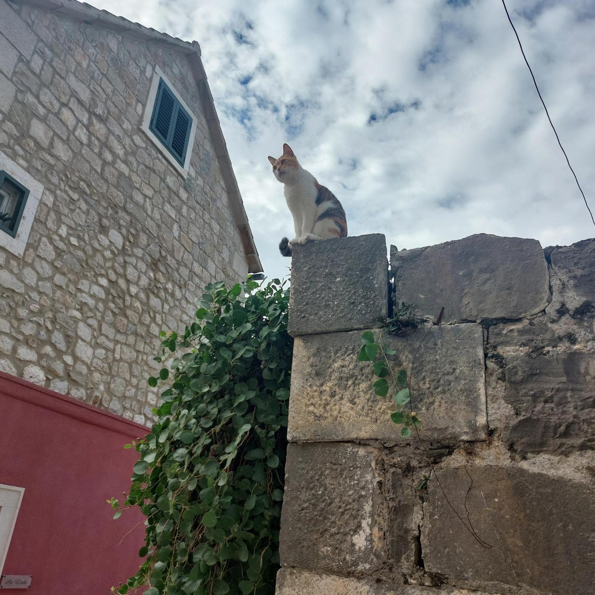 Appartamento San Marco Makarska Camera foto